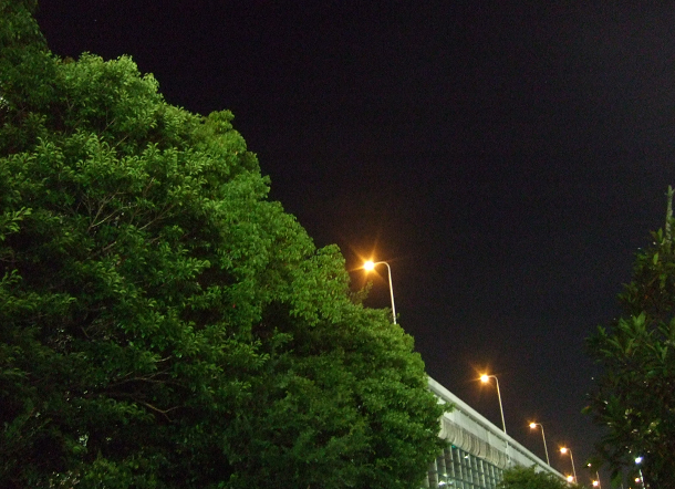 【F31fd】夜の高速