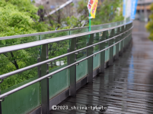 【JR岐阜駅】歩行者用デッキ「杜の架け橋（もりのかけはし）」
