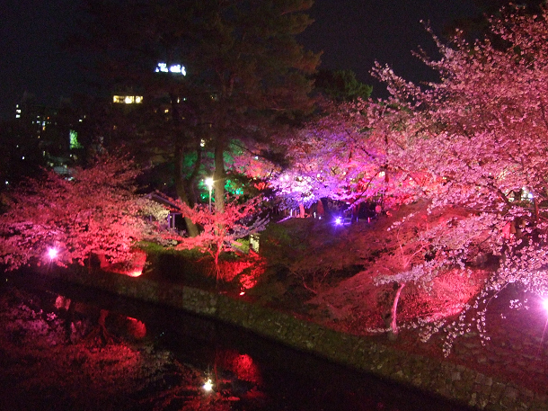 F31で撮った夜桜