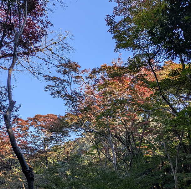 日長神社「紅葉谷」